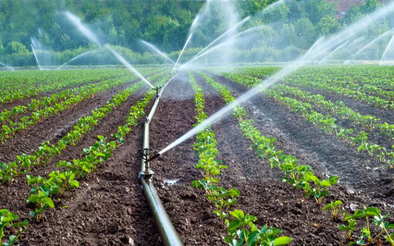 Alliance stratégique entre la BAD et la FAO pour les investissements agricoles