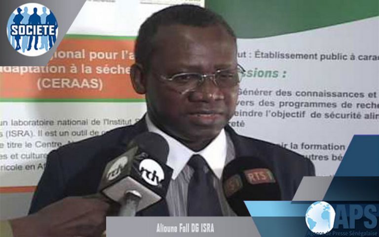 Saly-Portudal (Sénégal) : Alioune Fall souligne le lien entre la diffusion des technologies et la productivité agricole