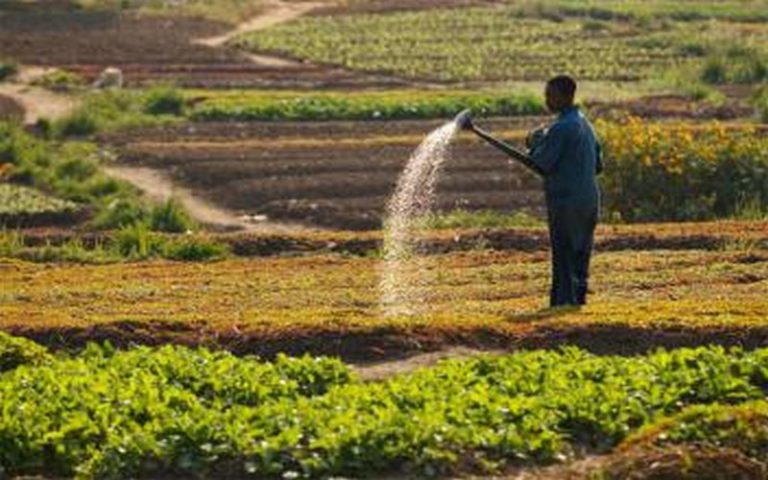 Lomé (Togo) abrite un atelier sur le financement de l’agriculture du 2 au 6 octobre 2017