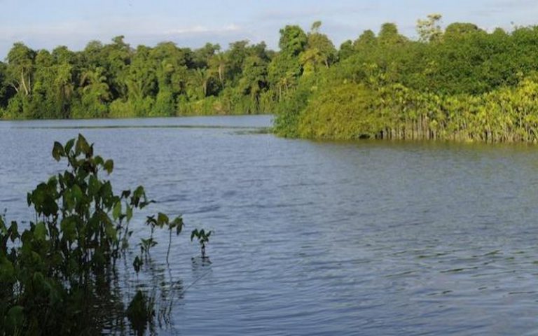 Les femmes et jeunes du quartier de Carrière (Guinée Conakry) dans la rue pour revendiquer l’eau potable et l’électricité