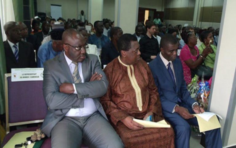 Yaoundé : Présentation du rapport de 2016 sur la mise en œuvre des directives de la COMIFAC