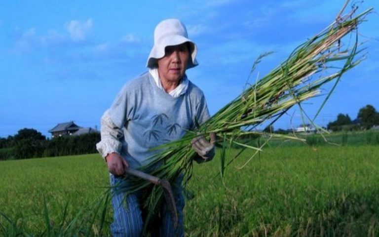 100 femmes de la BBC : Les femmes en milieu rural ont-elles brisé le plafond de verre de l’agriculture ?