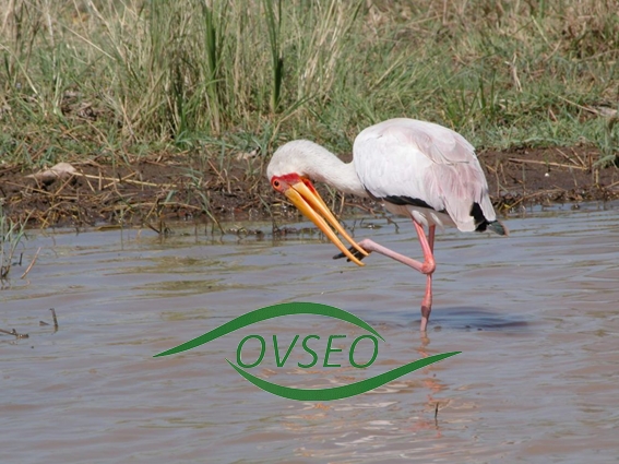 Abdoulaye Faty : « GIRE outil d’adaptation au changement climatique »