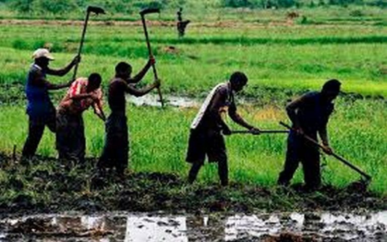 Sénégal : promouvoir le développement rural un moyen pour stopper la migration des jeunes