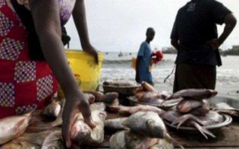 La transparence, socle de la gestion de la pêche, dixit la CAOPA