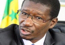 Sénégal : Mary Teuw Niane fait des révélations sur la recherche sur les OGM et le nucléaire