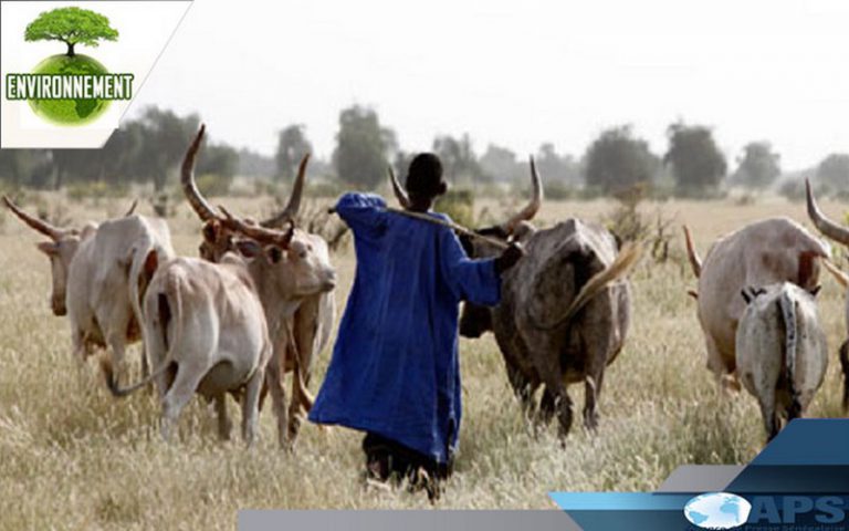 Le sous-préfet de Barkédji (Sénégal) plaide pour la protection du Ranch de Dolly