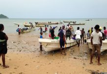 Sao Tome lance une vaste opération de pêche aux requins bleus et requins taupes , Sea Shepherd dénonce!