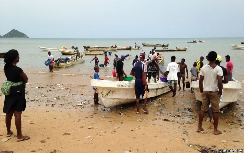 Sao Tome lance une vaste opération de pêche aux requins bleus et requins taupes , Sea Shepherd dénonce!