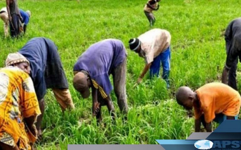 Afrique de l&rsquo;Ouest/ Banque Mondiale : Mise en oeuvre d&rsquo;un programme de productivité agricole