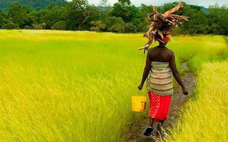 Les nouvelles technologies, une solution à la problematique foncière en Afrique
