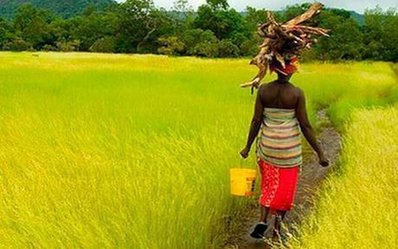 Les nouvelles technologies, une solution à la problematique foncière en Afrique