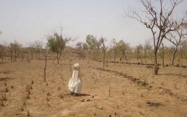 Les spécialistes africains en communication capacités sur la gestion durable des terres au Kenya