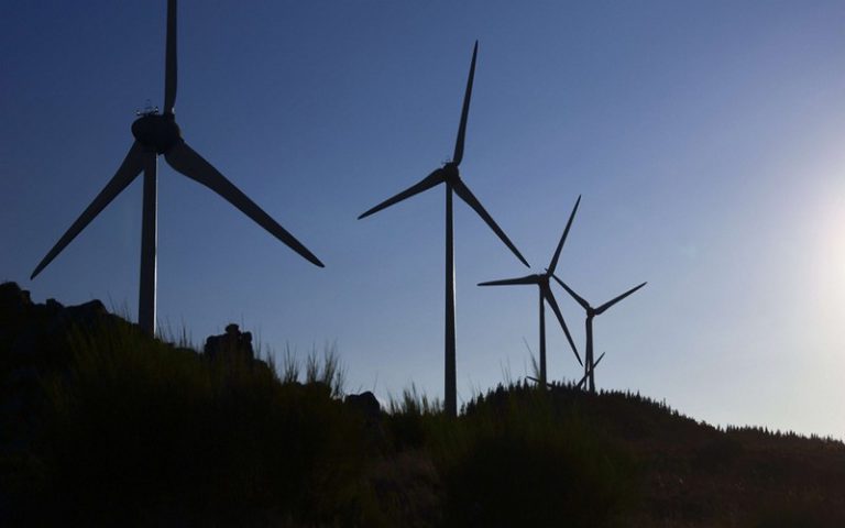 Les effets négatifs des énergies renouvelables sur la biodiversité