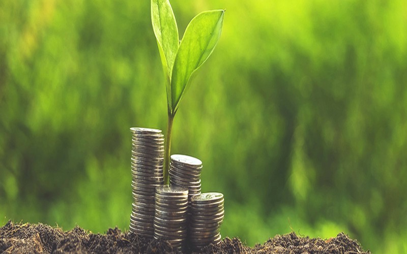 Lutte contre le changement climatique : Le Cap (Afrique du Sud) lance des « obligations vertes »