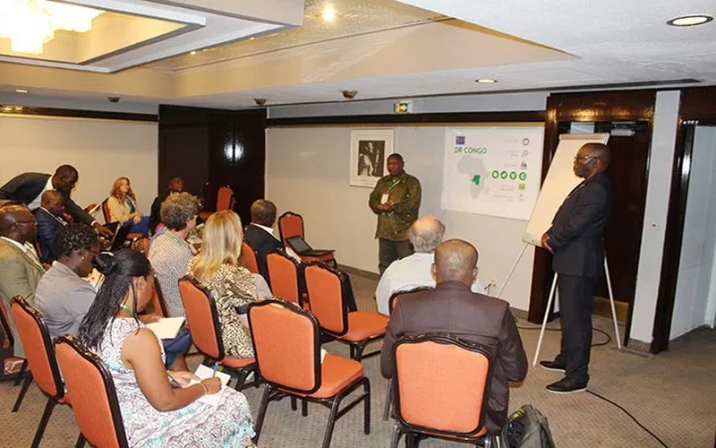 Lutte contre la déforestation: Le Gabon mise sur le développement durable du palmier à huile