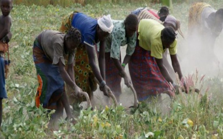 La digitalisation de l’agriculture en Afrique : une solution contre la pauvreté ?