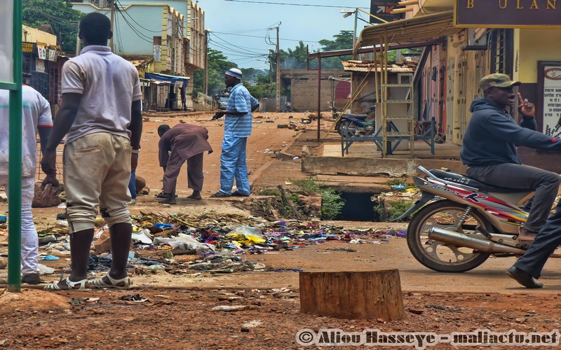 Spoliation des terres agricoles : Les victimes de la spéculation foncière dans le cercle de Kati (Mali) protestent