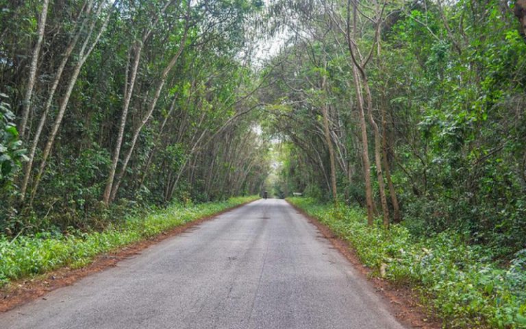 Côte d&rsquo;Ivoire : Sept morts à la suite d&rsquo;affronts pour le contrôle de riches terres de la forêt classée de Goin-Débé