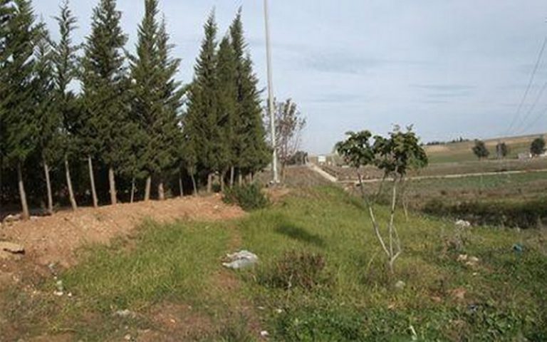 Gestion du foncier : 20 000 hectares de terres restituées à l&rsquo;état tunisien