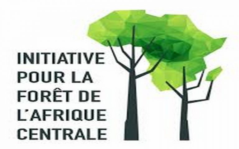 CAFI à la rescousse des forêts du Bassin du Congo