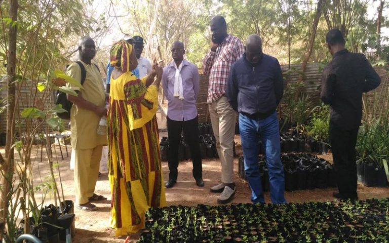 Sénégal : le projet DFC appuie l’agriculture et l’élevage à Gnibi (Kaffrine)