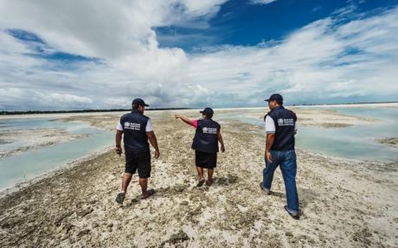 COP23 : l’OMS, en partenariat avec l’ONU, vole au secours des populations des PEID