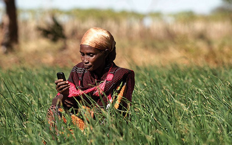 Afrique : une application mobile à la rescousse de l’agriculture
