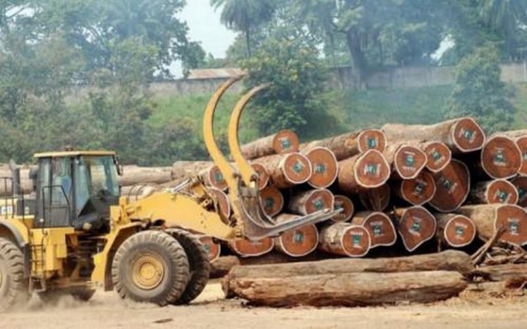 Un projet de loi au Cameroun pour la hausse de la taxe de l’exportation du bois en grumes