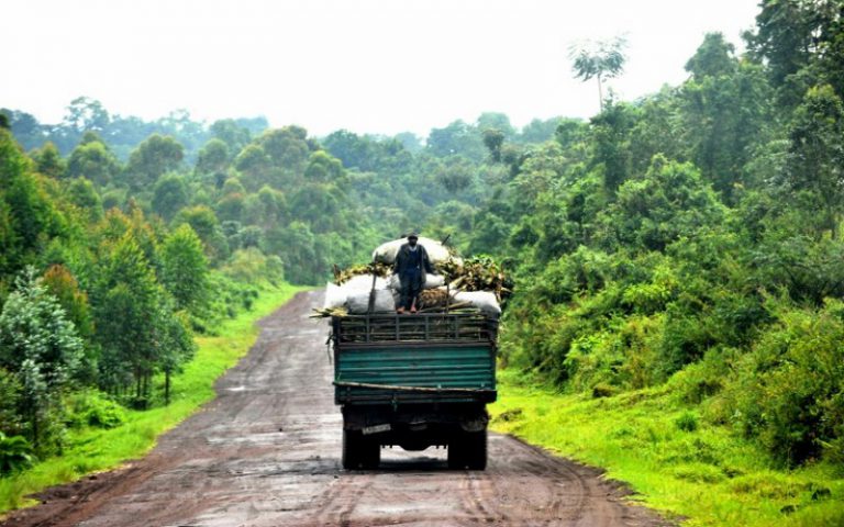 COP23 : Greenpeace évoque toute l’importance des tourbières du bassin du Congo contre le réchauffement climatique