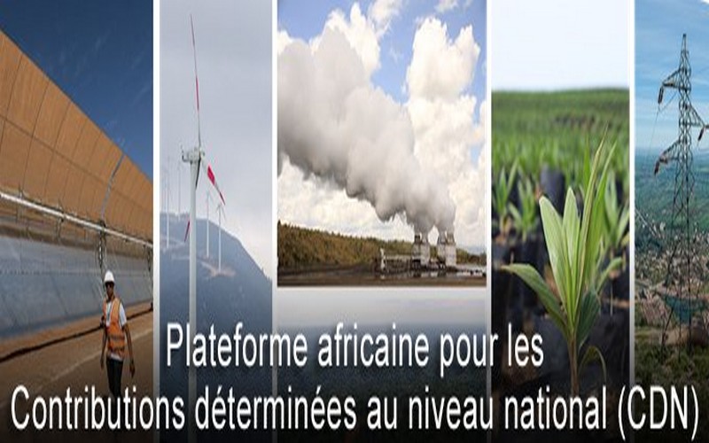 COP 23 : la BAD lance officiellement l’Africa NDC Hub