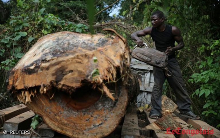 Le moratoire sur l’exploitation forestière en RDC toujours en vigueur