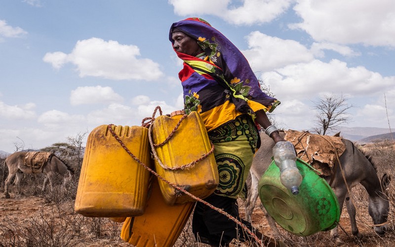 Financement environnemental : le PNUD-FEM s’associe à des fonds verticaux environnementaux