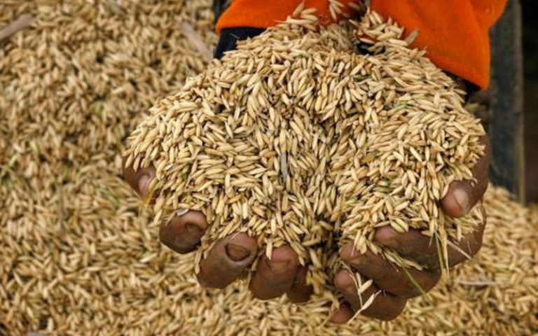 Vers l’instauration d’une taxe de 5% pour une dizaine de produits agricoles à l’exportation au Cameroun