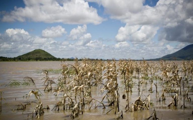 Les effets du changement climatique dans le secteur agricole en Afrique