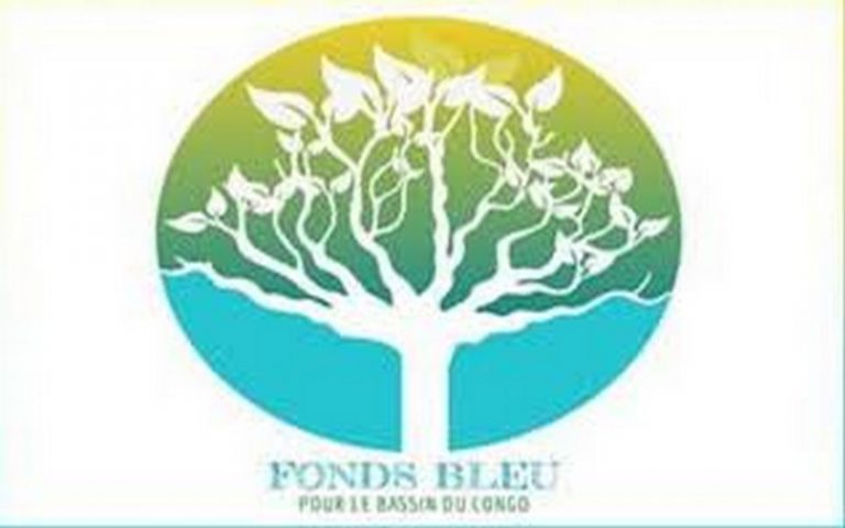 Implication du 4C Maroc au Fonds bleu pour le Bassin du Congo