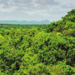 Les innovations à la rescousse du développement durable