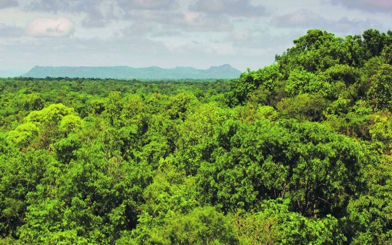 Les innovations à la rescousse du développement durable