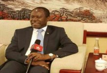 Ghana : le COCOBOD à la rescousse du verger cacaoyer