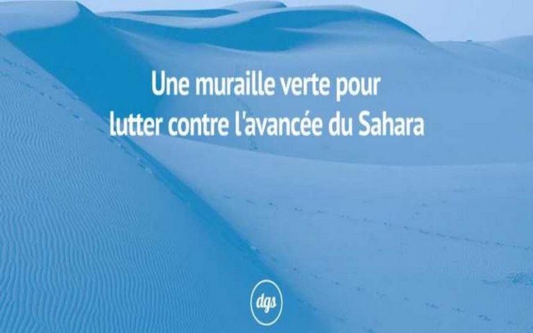 La Grande muraille verte, un mur végétal contre la désertification