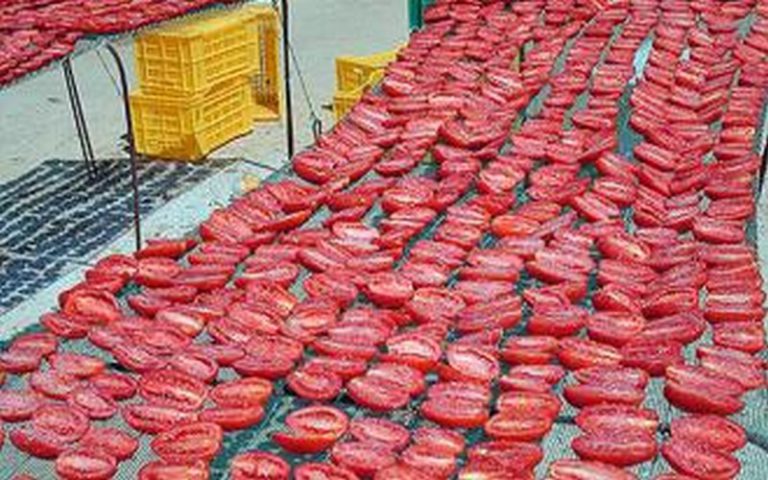 L’unité de séchage des produits agricoles inaugurée en Tunisie
