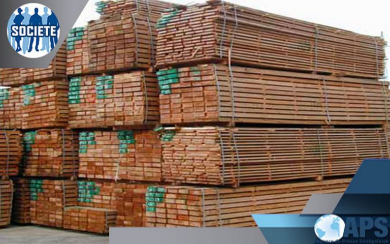 L’ONPB au chevet des forêts sénégalaises