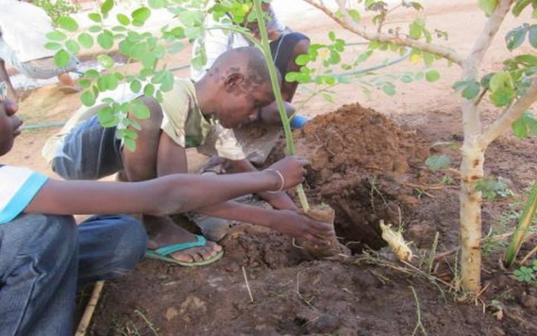 Sénégal : l’UNCEFS au chevet de la biodiversité
