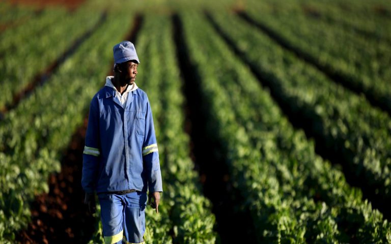 2,2 milliards de $ investis dans l’agriculture togolaise sur dix ans