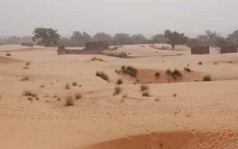 Les enjeux alimentaires analysés au Bénin
