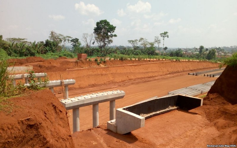 Les investissements, source de déclin des forêts d’Afrique Centrale