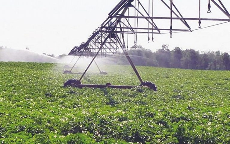 L’Algérie se penche sur les maux de l’intensification agricole