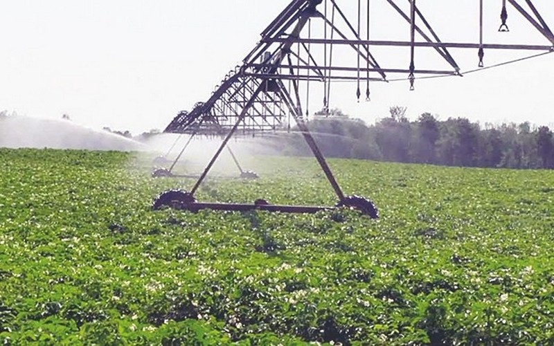 L’Algérie se penche sur les maux de l’intensification agricole