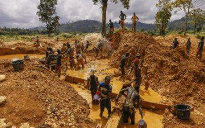 Vers la récupération des terres détruites par les mineurs illégaux au Ghana