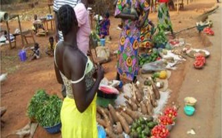 Un tracteur à la rescousse des petits producteurs de la RDC